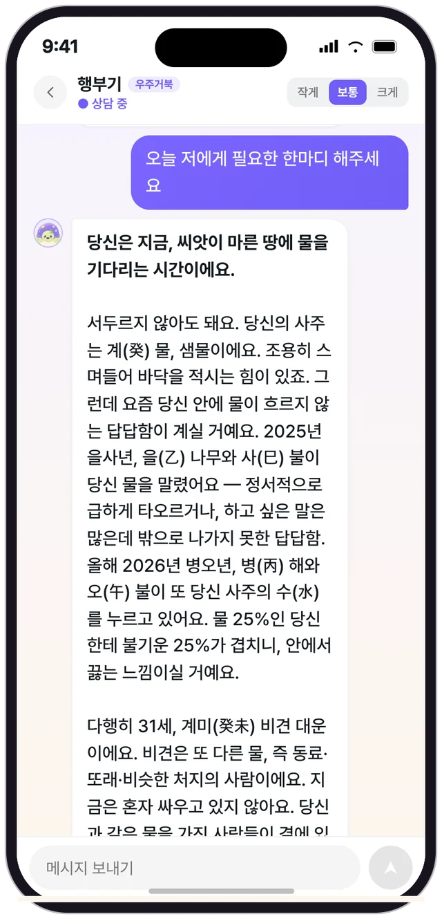 행부기 채팅 — 내 사주를 읽은 답변